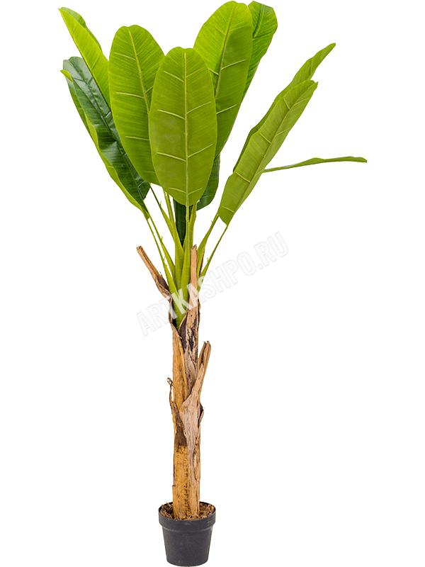 Банановая пальма искусственная