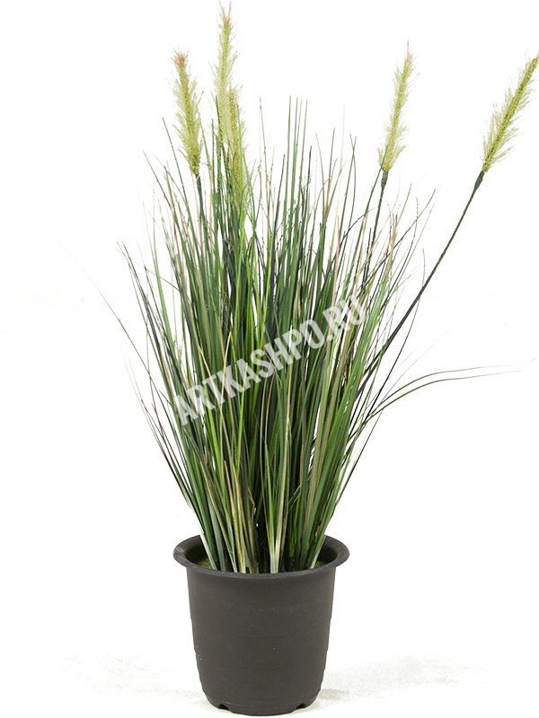 ЯOFF Grass plant Green в plastic pot 12carton