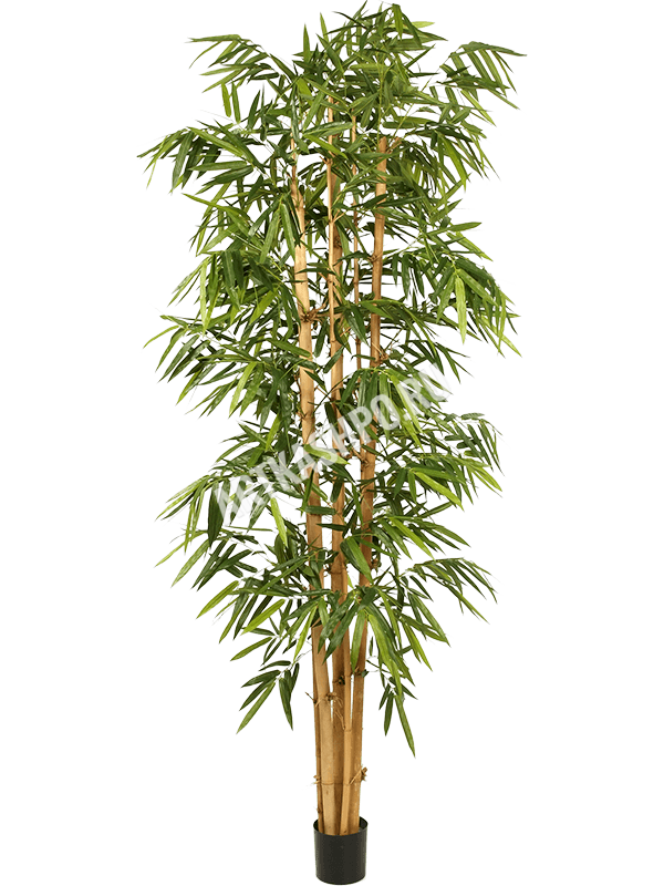 Бамбук гигантский ‘Биг Лиф’ искусственный
