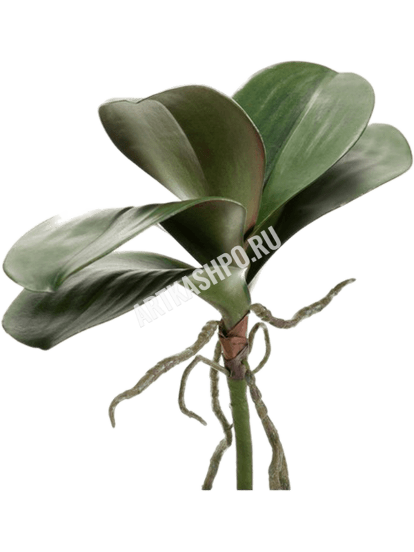 Листья фаленопсиса с корнями искусственные