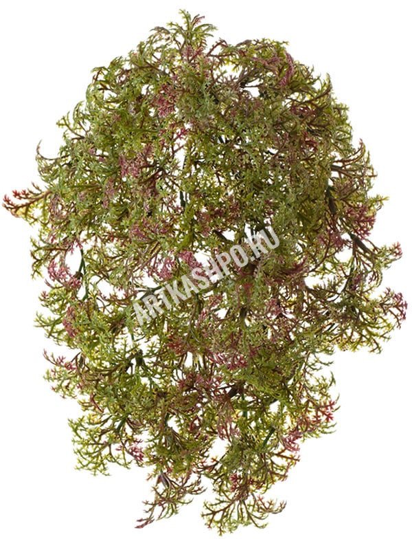 Рясковый мох (Вотер-грасс) куст зелёный с бордо искусственный
