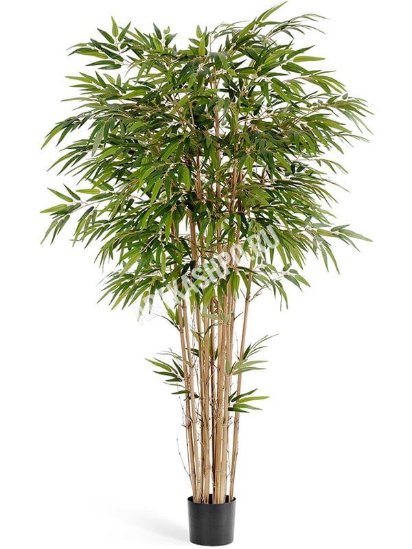 Бамбук натуральный искусственный
