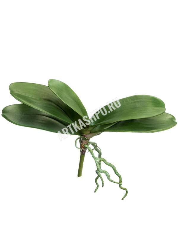 Листья фаленопсиса с корнями большие искусственные