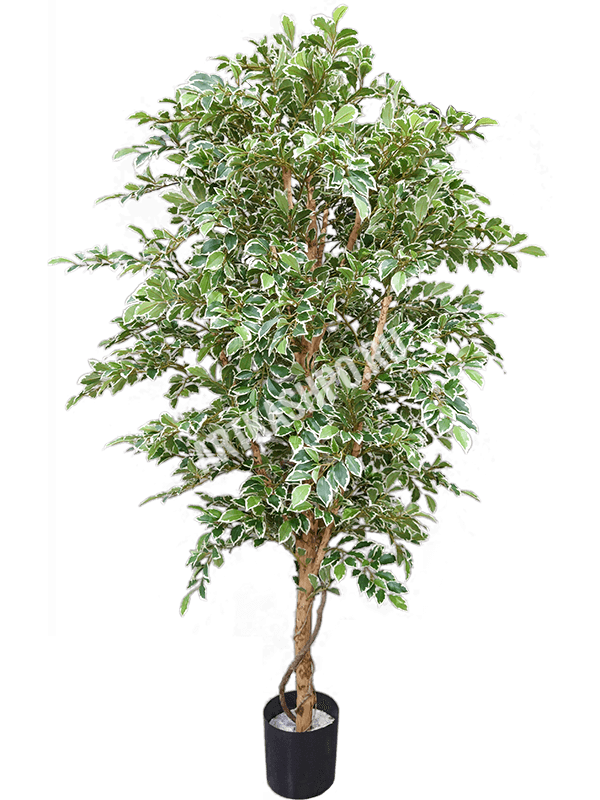 Фикус Фолиа A-дерево бело-зелёное искусственный