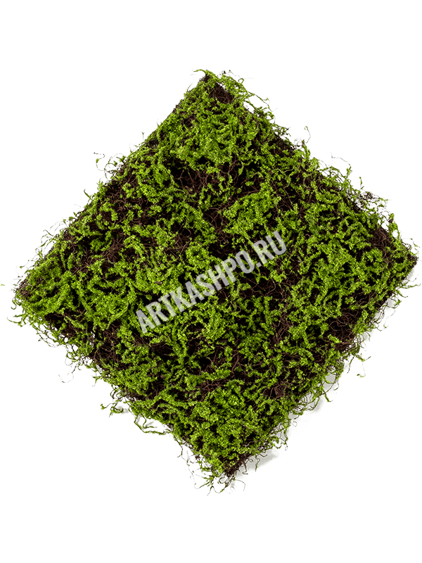 ЯOFF Grass Moss Green/Brown