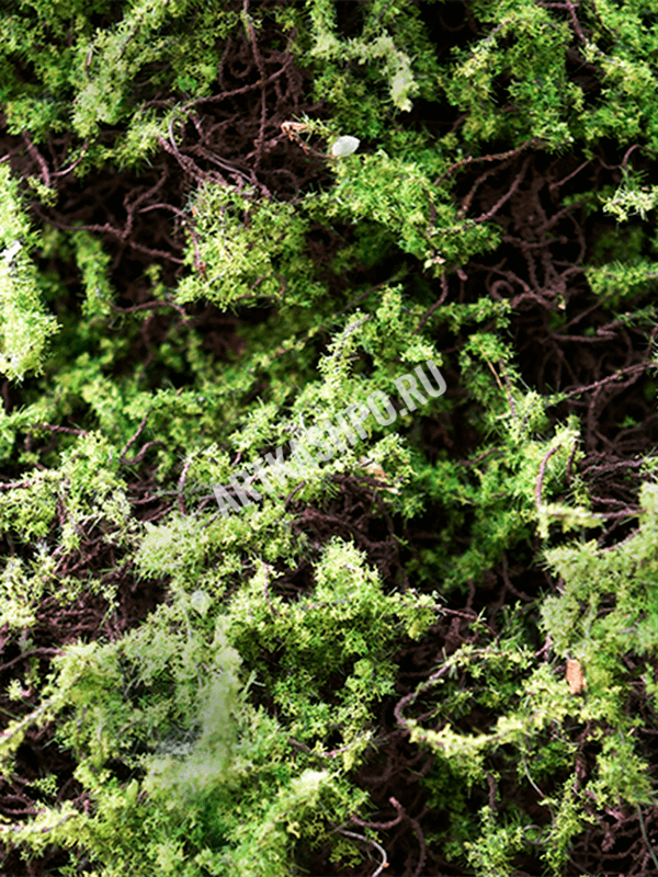 ЯOFF Grass Moss Green/Brown