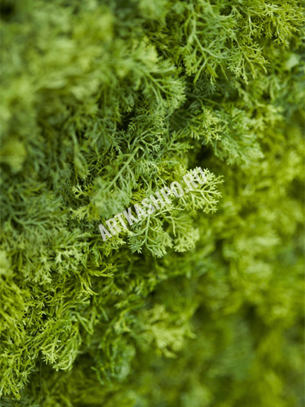 ЯOFF Iceland Moss Vertical Mat