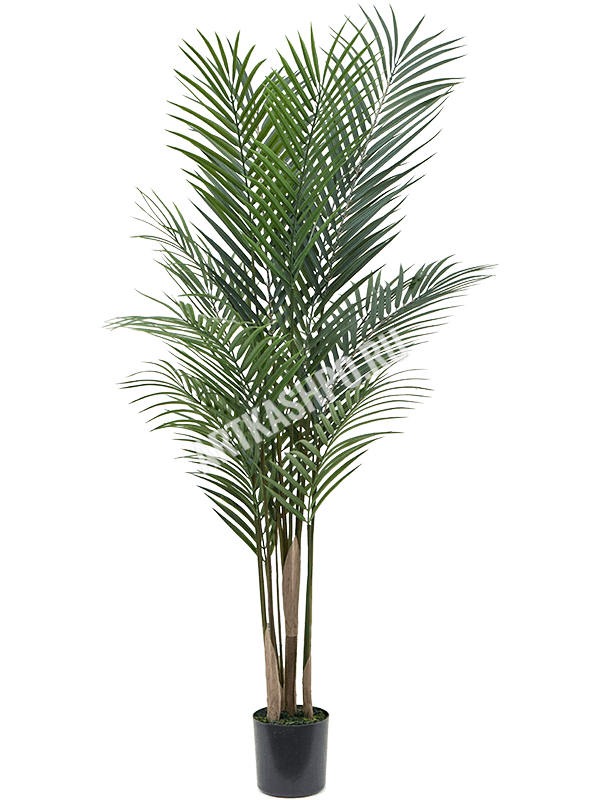 Бетелевая пальма искусственная
