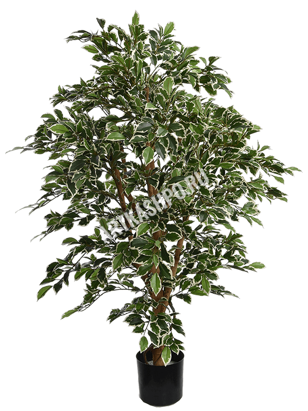 Фикус Фолиа A-дерево бело-зелёное искусственный