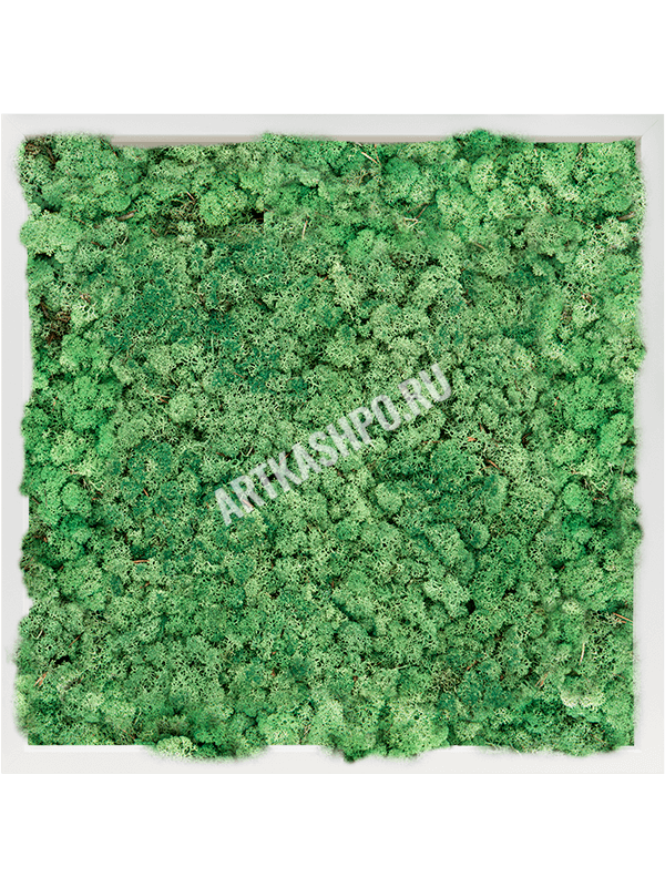 Картина из мха МДФ RAL 9010 атласный блеск 100% ягель (травянисто-зелёный)