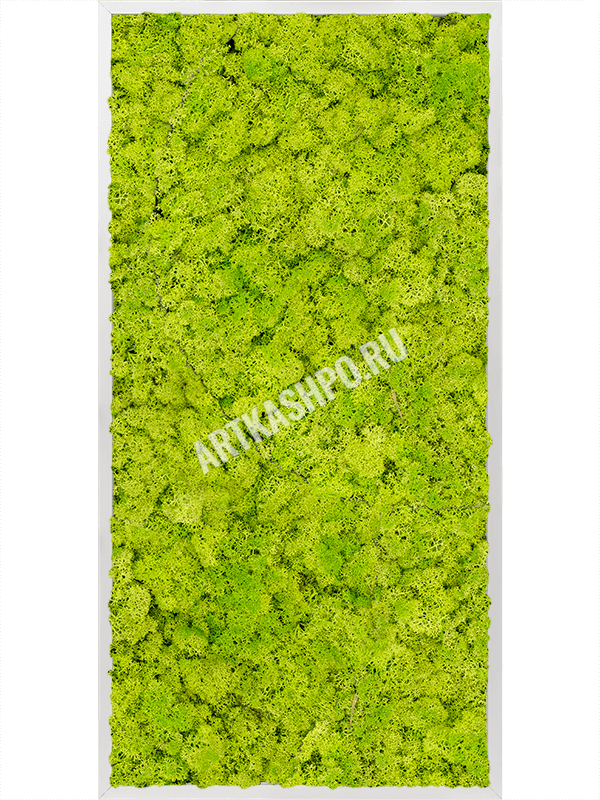 Картина из мха алюминий 100% ягель (весенний зелёный)