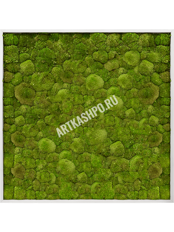 Картина из мха алюминий 100% шаровидный мох