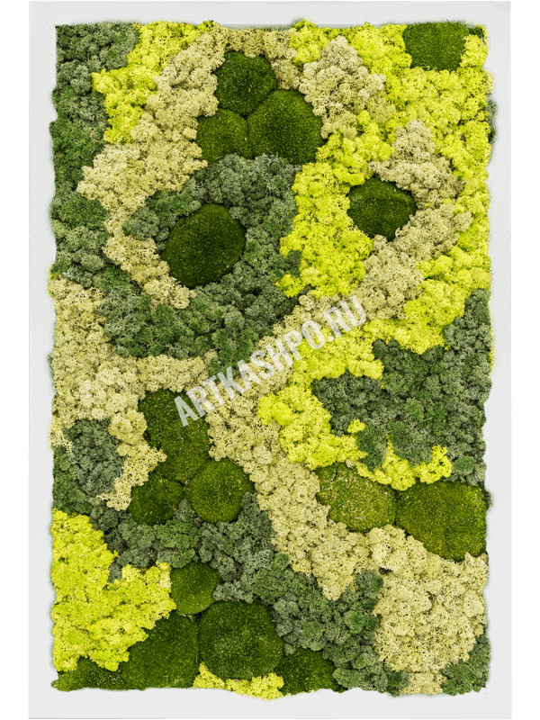 Картина из мха МДФ RAL 9010 атласный блеск 30% шаровидный мох 70% ягель (микс)