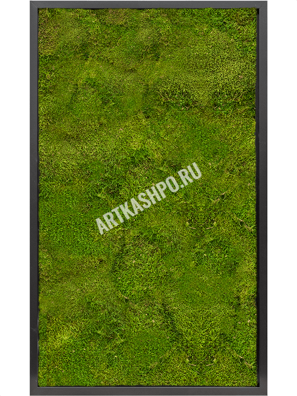 Картина из мха МДФ RAL 9005 атласный блеск 100% плоский мох
