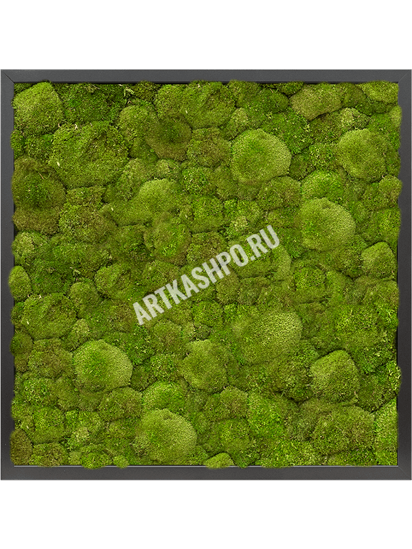 Картина из мха МДФ RAL 9005 атласный блеск 100% шаровидный мох