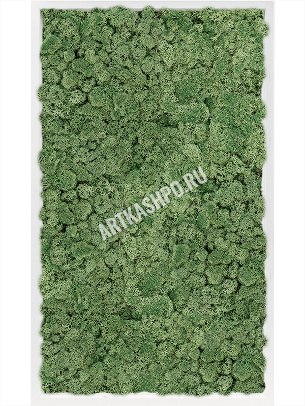 Картина из мха МДФ RAL 9010 атласный блеск 100% ягель (мшисто-зеленый)