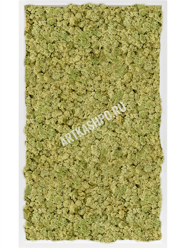 Картина из мха МДФ RAL 9010 атласный блеск 100% ягель (пыльно-зелёный)