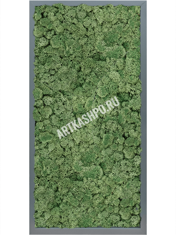 Картина из мха МДФ RAL 7016 атласный блеск 100% ягель (мшисто-зеленый)