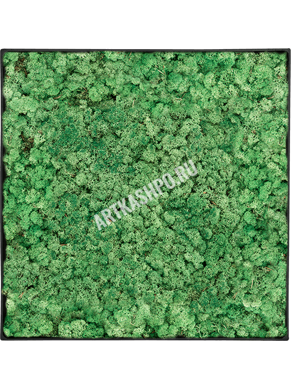 Картина из мха nova frame антрацитовый бетон 100% ягель (травянисто-зелёный)