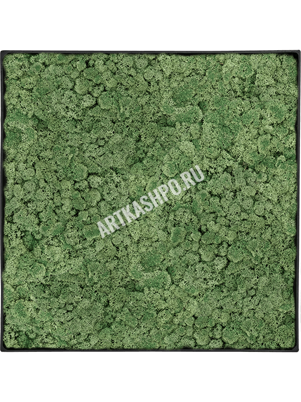 Картина из мха nova frame антрацитовый бетон 100% ягель (мшисто-зеленый)