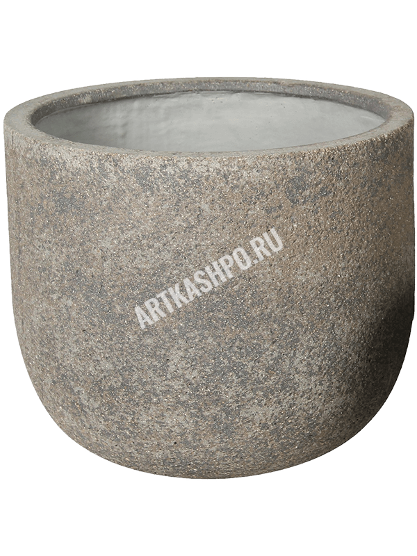 Спатифиллум ‘Сенсэйшн’ в кашпо Cement