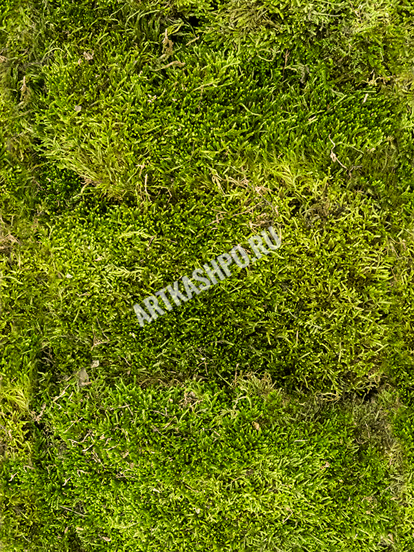 Longmoss Forest green bulk = ca. 1.25 m? 0