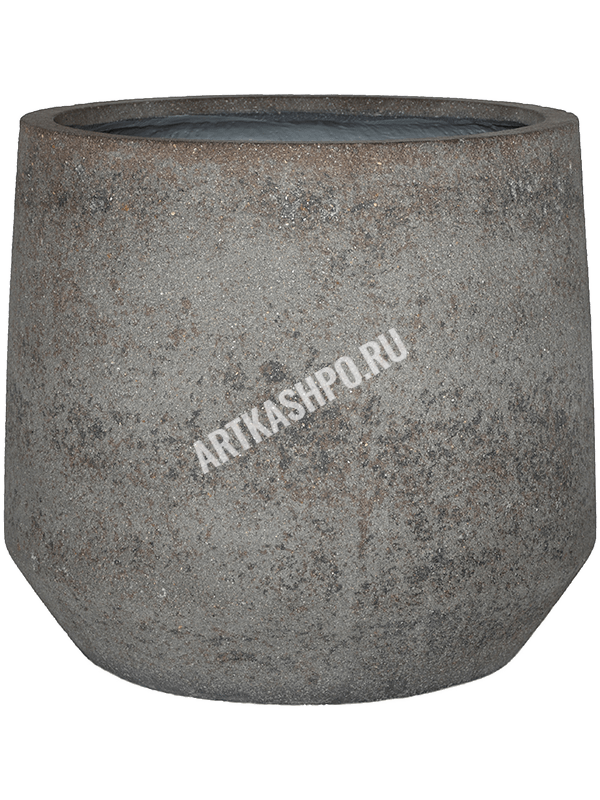 Опунция галапагосская (60-80) в кашпо Cement & Stone