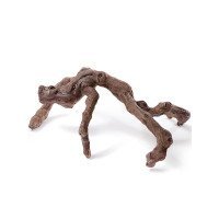 Корни и коряги