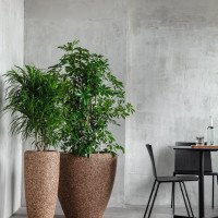 Кашпо Baq Design Naturescast