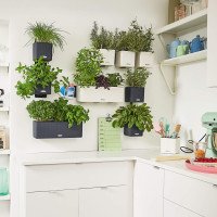 Кашпо Lechuza Green Wall Color