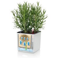 Работа системы полива в Green Wall Color