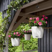 Кашпо Lechuza Nido Cottage