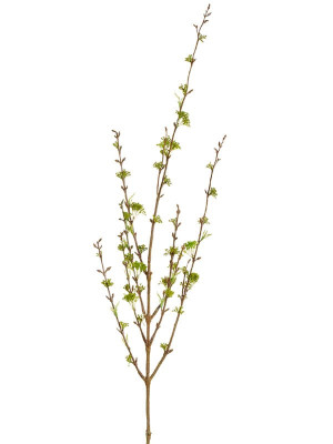 Ветка корнелиан Черри нежно-зелёная малая искусственная Ветка корнелиан Черри нежно-зелёная малая искусственная