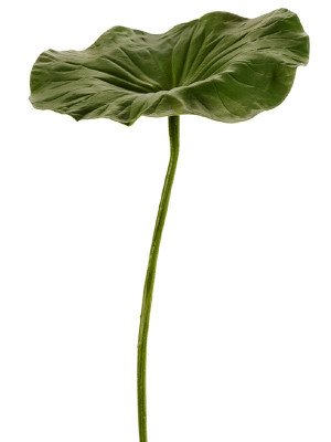Лист лотоса искусственный