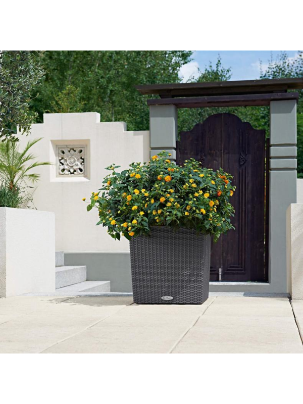 Кашпо Lechuza Cube Cottage коричневый песок 40