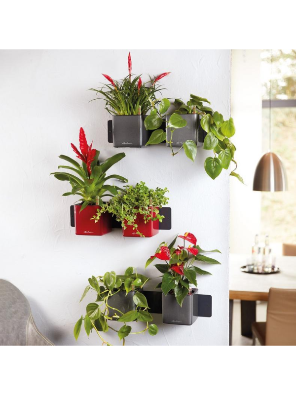 Комплект кашпо настенный Lechuza Green Wall Home Kit Glossy антрацит глянцевый