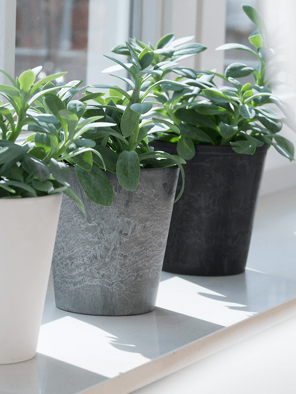 Кашпо Artstone Claire pot grey