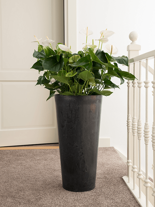 Кашпо Artstone Claire Vase black