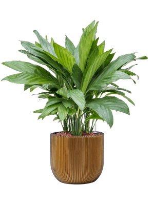 Кашпо Capi Nature Groove Planter Ball Black Gold