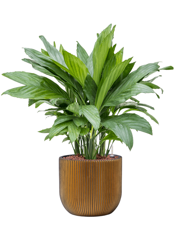 Кашпо Capi Nature Groove Planter Ball Black Gold