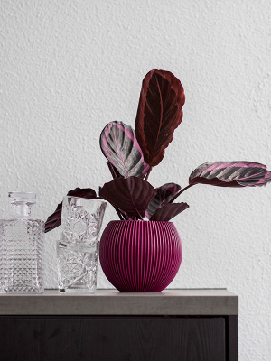 Кашпо Capi Nature Groove Special Vase Ball Purple