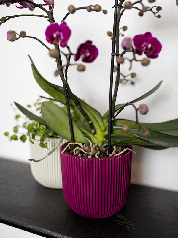 Кашпо Capi Nature Groove Special Planter Ball Purple