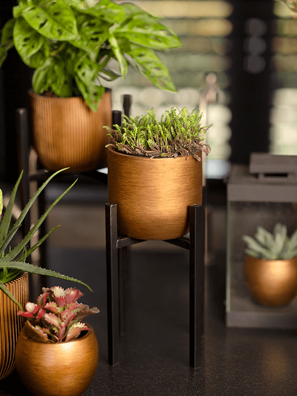 Кашпо Capi Lux Retro Planter Ball Gold