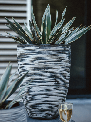 Кашпо Capi Nature Rib NL Vase elegant low anthracite