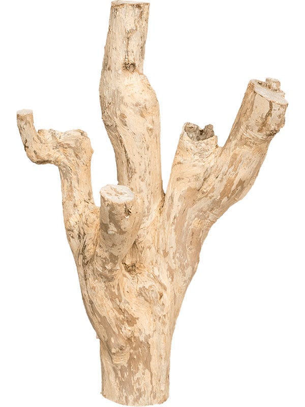 Decowood Coffea stump (25-30 см)