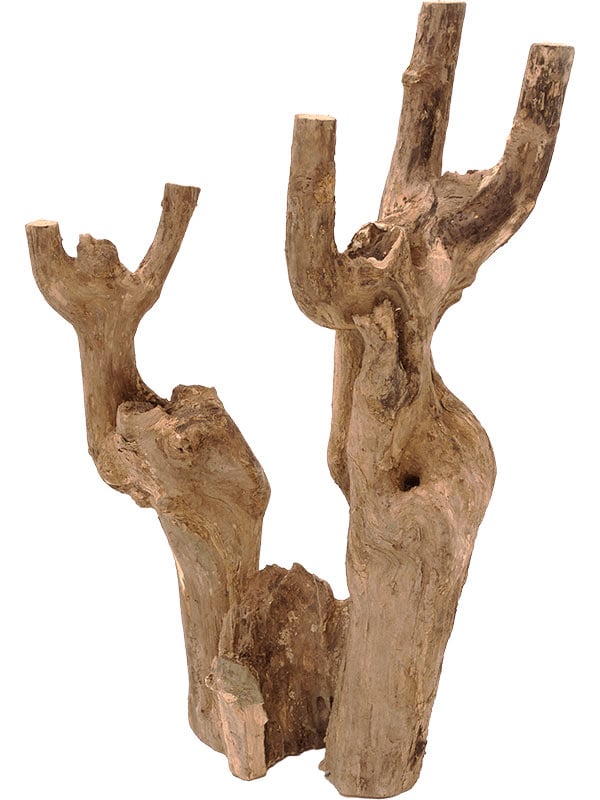 Decowood Coffea stump (40-45 см)