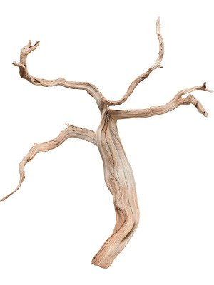 Decowood Ghostwood sandblasted branchy