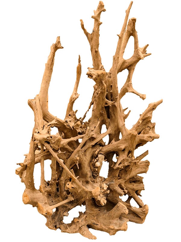 Софа C Meubilair Teak root eroded