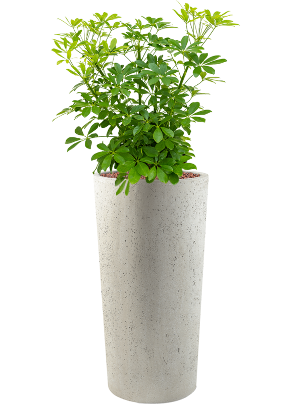 Кашпо Grigio Vase Tall Antique White Concrete