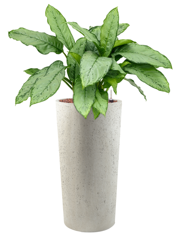 Кашпо Grigio Vase Tall Antique White Concrete